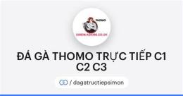 hướng dẫn sử dụng đá gà thomo 11/12 c2