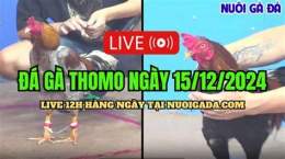 hướng dẫn sử dụng da ga thomo 15 9