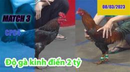 hướng dẫn sử dụng đá gà thomo 2/3/2023