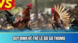 hướng dẫn sử dụng đa ga thomo 24/3