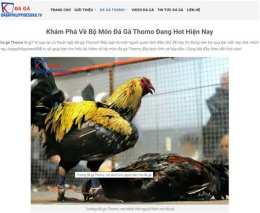 hướng dẫn sử dụng đá gà thomo 26/10/2022