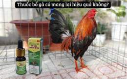 hướng dẫn sử dụng đá gà thomo 26/4