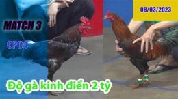 hướng dẫn sử dụng đá gà thomo 3 3 2023