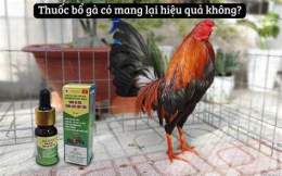 hướng dẫn sử dụng đá gà thomo 31/3
