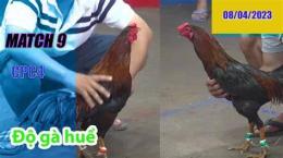 hướng dẫn sử dụng đá gà thomo 4 9 2023