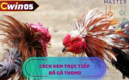 hướng dẫn sử dụng đa ga thomo 8/12/2024