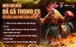 hướng dẫn sử dụng da ga thomo c5 trận 21