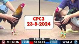 hướng dẫn sử dụng đá gà thomo cpc3 23/8