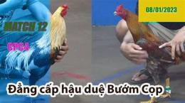 hướng dẫn sử dụng đá gà thomo trận 12 c4
