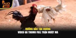 hướng dẫn sử dụng da ga thomo tran 34