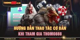 hướng dẫn sử dụng đa ga thomo88