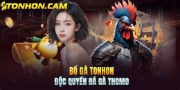 hướng dẫn sử dụng đá gà tonhon 28/11