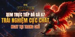 hướng dẫn sử dụng da ga truc tiep 67.com