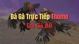 hướng dẫn sử dụng da ga truc tiep 88 c3