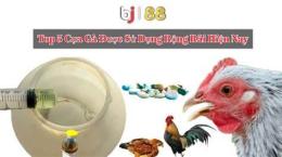 hướng dẫn sử dụng đá gà trực tiếp cpc3 18 7
