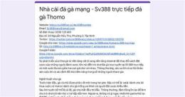 hướng dẫn sử dụng đá gà trực tiếp thomo sv388link.asia