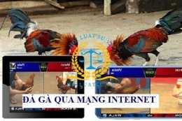 hướng dẫn sử dụng đá gà trực tuyến 1