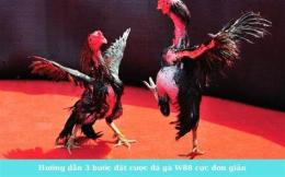 hướng dẫn sử dụng đá gà w88 may88z