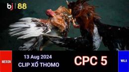 hướng dẫn sử dụng daga88 xem trực tiếp đá gà thomo