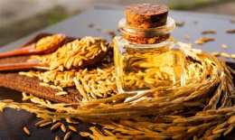hướng dẫn sử dụng dầu gạo rice bran oil