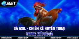 hướng dẫn sử dụng ga asil da hay khong