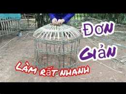 hướng dẫn sử dụng gà chọi đá với gà tre