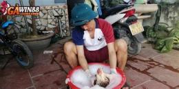 hướng dẫn sử dụng ga da cua sat moi nhat 2015