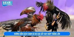 hướng dẫn sử dụng ga da cua sat tet 2018