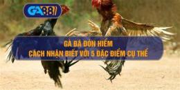 hướng dẫn sử dụng ga da don hiem