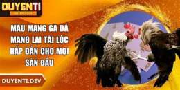 hướng dẫn sử dụng gà đá mang tai