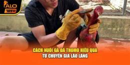 hướng dẫn sử dụng ga da thomo 27 5