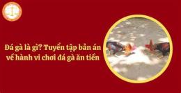 hướng dẫn sử dụng ga da vi thanh
