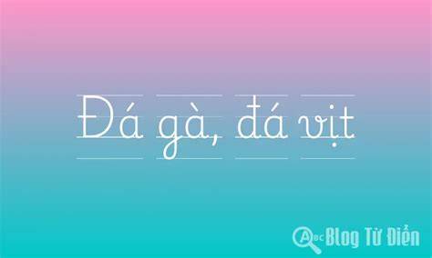 hướng dẫn sử dụng ga da vit