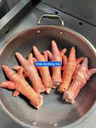 hướng dẫn sử dụng gà đông tảo chân to đặc trưng