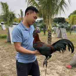 hướng dẫn sử dụng gà duyên ti đá giải 15 4