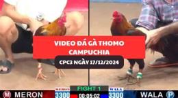 hướng dẫn sử dụng ga mit tra cu da thomo