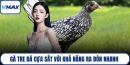 hướng dẫn sử dụng ga tre da cua sat hay 2015