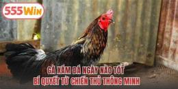 hướng dẫn sử dụng ga xam da ngay nao tot