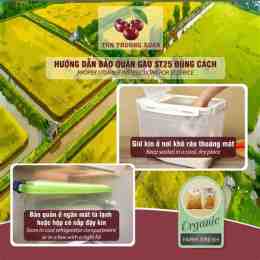 hướng dẫn sử dụng gạo st25 hạt dài trắng trong