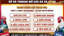 hướng dẫn sử dụng giải đá gà tonhon