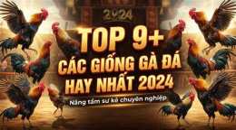 hướng dẫn sử dụng giong ga da hay nhat 7789bet.top