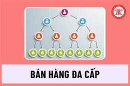 hướng dẫn sử dụng hiep ga ban hang da cap