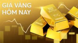 hướng dẫn sử dụng hôm nay đá gà gì tốt