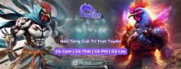 hướng dẫn sử dụng ht368 đá gà