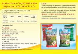 hướng dẫn sử dụng hương lúa đá gà