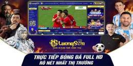 hướng dẫn sử dụng kênh bóng đá gà vàng tivi