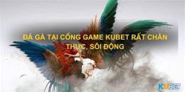 hướng dẫn sử dụng kubet có đá gà không