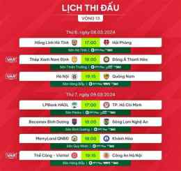 hướng dẫn sử dụng lịch thi đấu đá gà thomo hôm nay