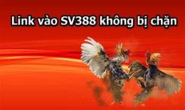 hướng dẫn sử dụng link đá gà thomo