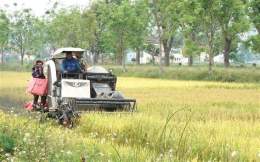 hướng dẫn sử dụng máy gặt đập liên hợp thu hoạch lúa
